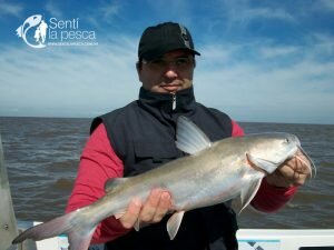 171004 PESCA EN BERISSO6