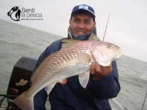 171005 PIQUE ALBUFERA MARCHI10