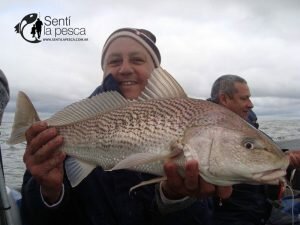 171005 PIQUE ALBUFERA MARCHI14