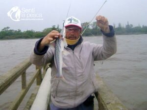171006 PIQUE DEL ESPIGON