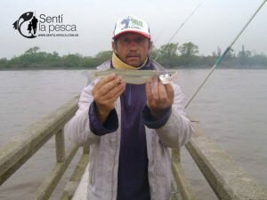 171006 PIQUE DEL ESPIGON1
