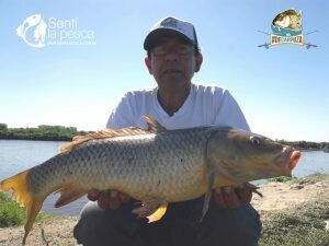 IMG-20171019-WA0167
