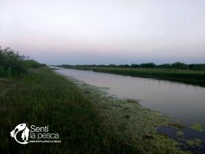 171122 TARUS DE SANTIAGO DEL ESTERO4