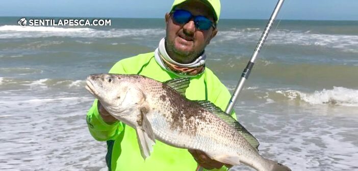 171212 PESCA EN PUNTA MEDANOS dest