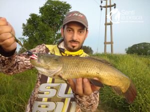 HOPLIAS LURES TESTEO MODELO KILLER Y MINI KILLER10