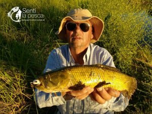 HOPLIAS LURES TESTEO MODELO KILLER Y MINI KILLER15