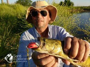 HOPLIAS LURES TESTEO MODELO KILLER Y MINI KILLER17