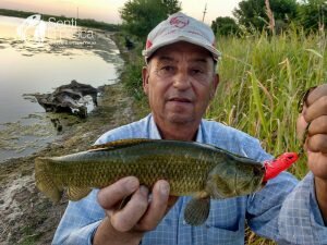 HOPLIAS LURES TESTEO MODELO KILLER Y MINI KILLER4