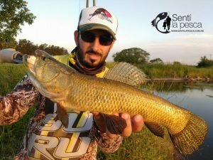 HOPLIAS LURES TESTEO MODELO KILLER Y MINI KILLER5