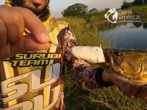 HOPLIAS LURES TESTEO MODELO KILLER Y MINI KILLER6
