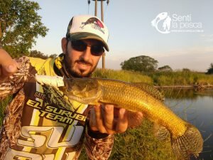 HOPLIAS LURES TESTEO MODELO KILLER Y MINI KILLER7