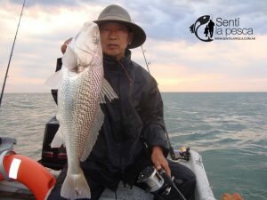 180102 CERRANDO EL AÑO EN LA ALBUFERA