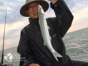 180102 CERRANDO EL AÑO EN LA ALBUFERA1