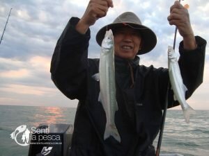 180102 CERRANDO EL AÑO EN LA ALBUFERA2