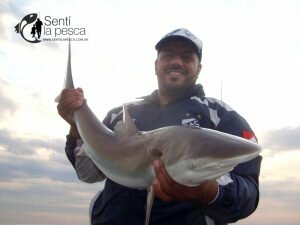 180102 CERRANDO EL AÑO EN LA ALBUFERA4
