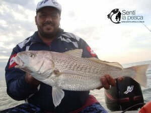 180102 CERRANDO EL AÑO EN LA ALBUFERA5