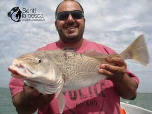 180102 CERRANDO EL AÑO EN LA ALBUFERA8