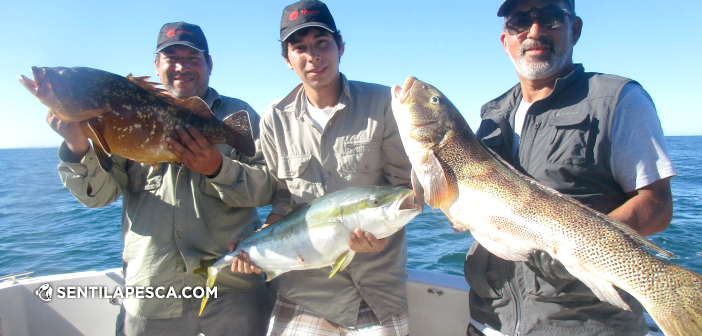 180201 embarcados en mdq dest