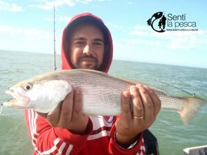 180321 PIQUE ALBUFERA DE MARCHI