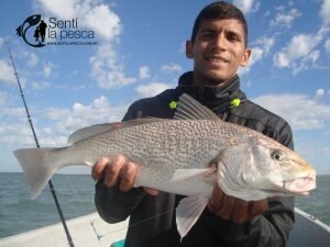 180321 PIQUE ALBUFERA DE MARCHI1