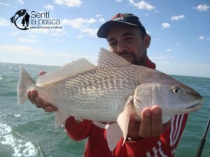 180321 PIQUE ALBUFERA DE MARCHI4