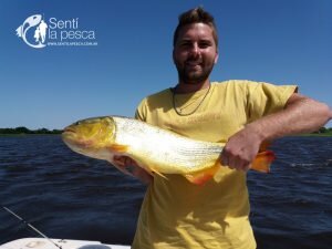 180321 TIGRES DE RECONQUISTA (2)