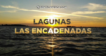 LAGUNA ENCADENADAS CHASCOMUS dest