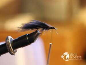 PESCA EN ESQUEL POR OCELLUS (3)