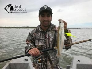 180413 PIQUE EN ADELA3