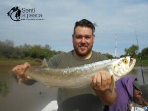 180508 PIQUE EN LA PAZ ENTRE RIOS3