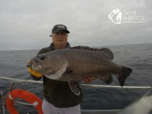 180510 EMBARCADOS EN MDQ