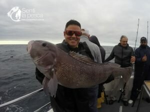 180510 EMBARCADOS EN MDQ1