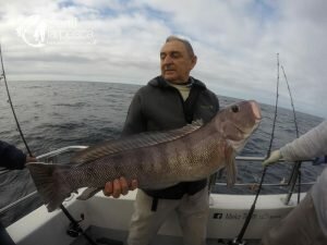 180510 EMBARCADOS EN MDQ2
