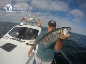 180510 EMBARCADOS EN MDQ3