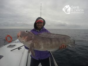 180510 EMBARCADOS EN MDQ5
