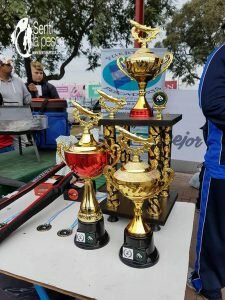 180613 CONCURSO EN COSTANERA NORTE