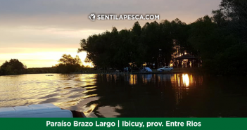 PARAISO BRAZO LARGO desta
