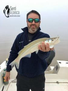 180507 PEJES RIOPLA NORTE3