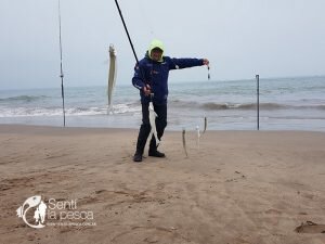 180702 ESCARDONES DE MDQ