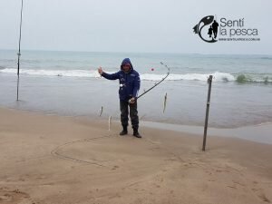 180702 ESCARDONES DE MDQ1