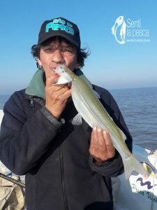 180702 PEJES EN BERISSO6