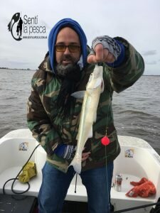 180704 EMBARCADOS EN LAGUNA CHIS CHIS
