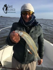 180704 EMBARCADOS EN LAGUNA CHIS CHIS4