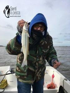 180704 EMBARCADOS EN LAGUNA CHIS CHIS6