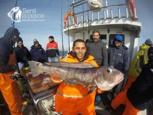 180704 EMBARCADOS EN MDQ1