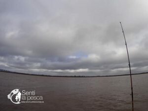 180710 UN POCO DE PESCA DE VARIADA1