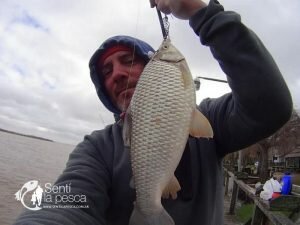 180710 UN POCO DE PESCA DE VARIADA2