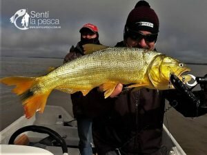 180713 DORADOS DE SANTA ELENA2