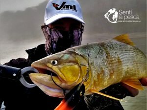 180713 DORADOS DE SANTA ELENA4