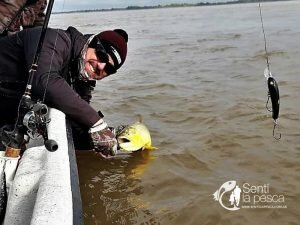 180713 DORADOS DE SANTA ELENA5